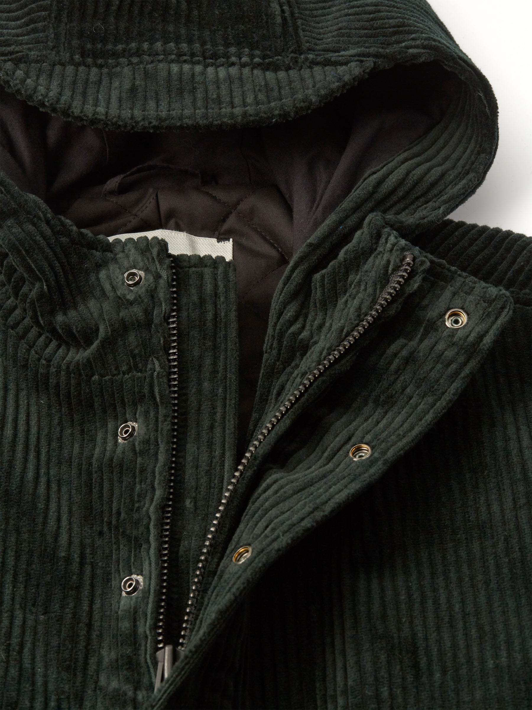 Salcombe Hooded Jacket Melrose Cord Green