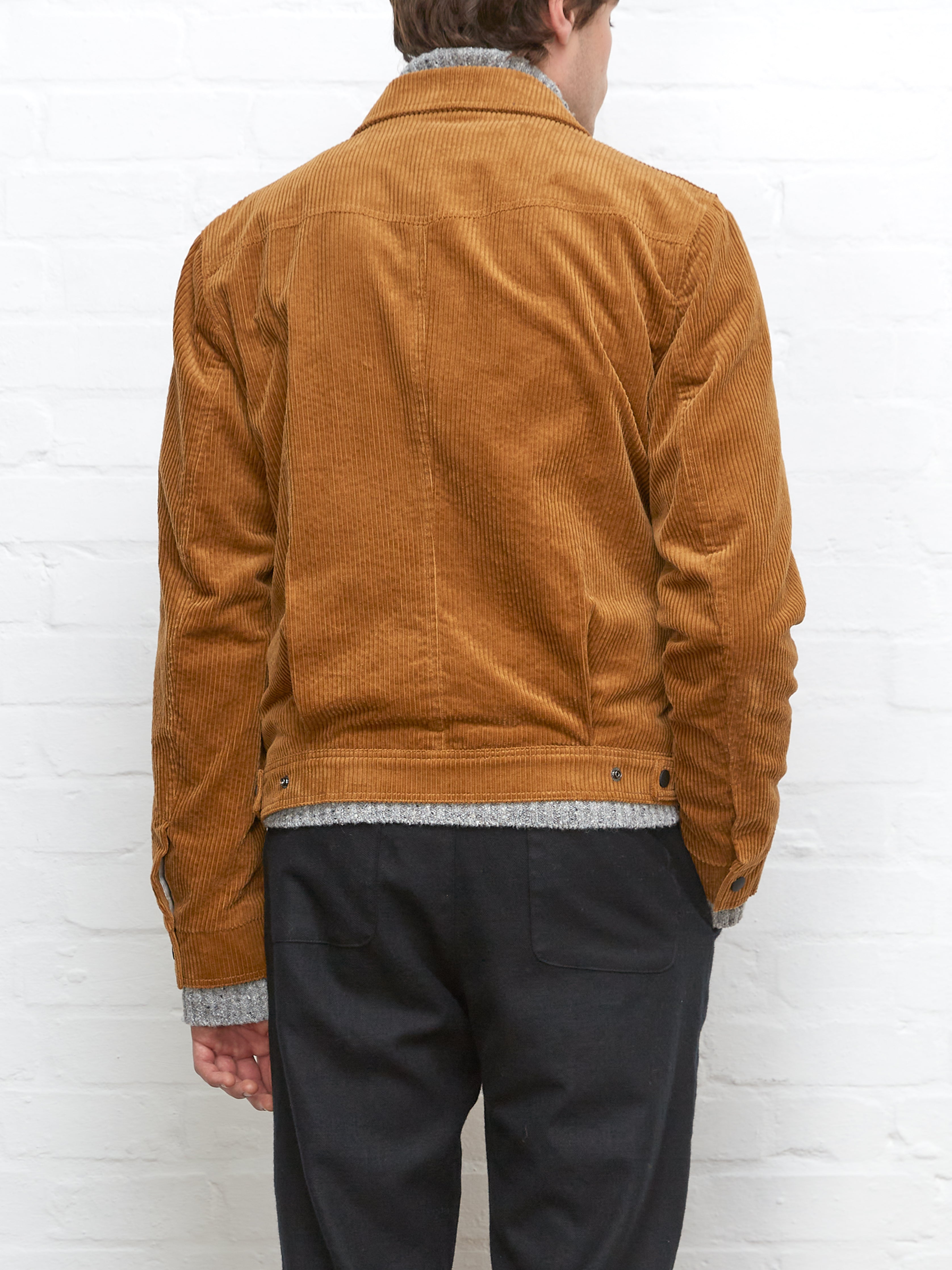 Norton Jacket Hudson Cord Tan