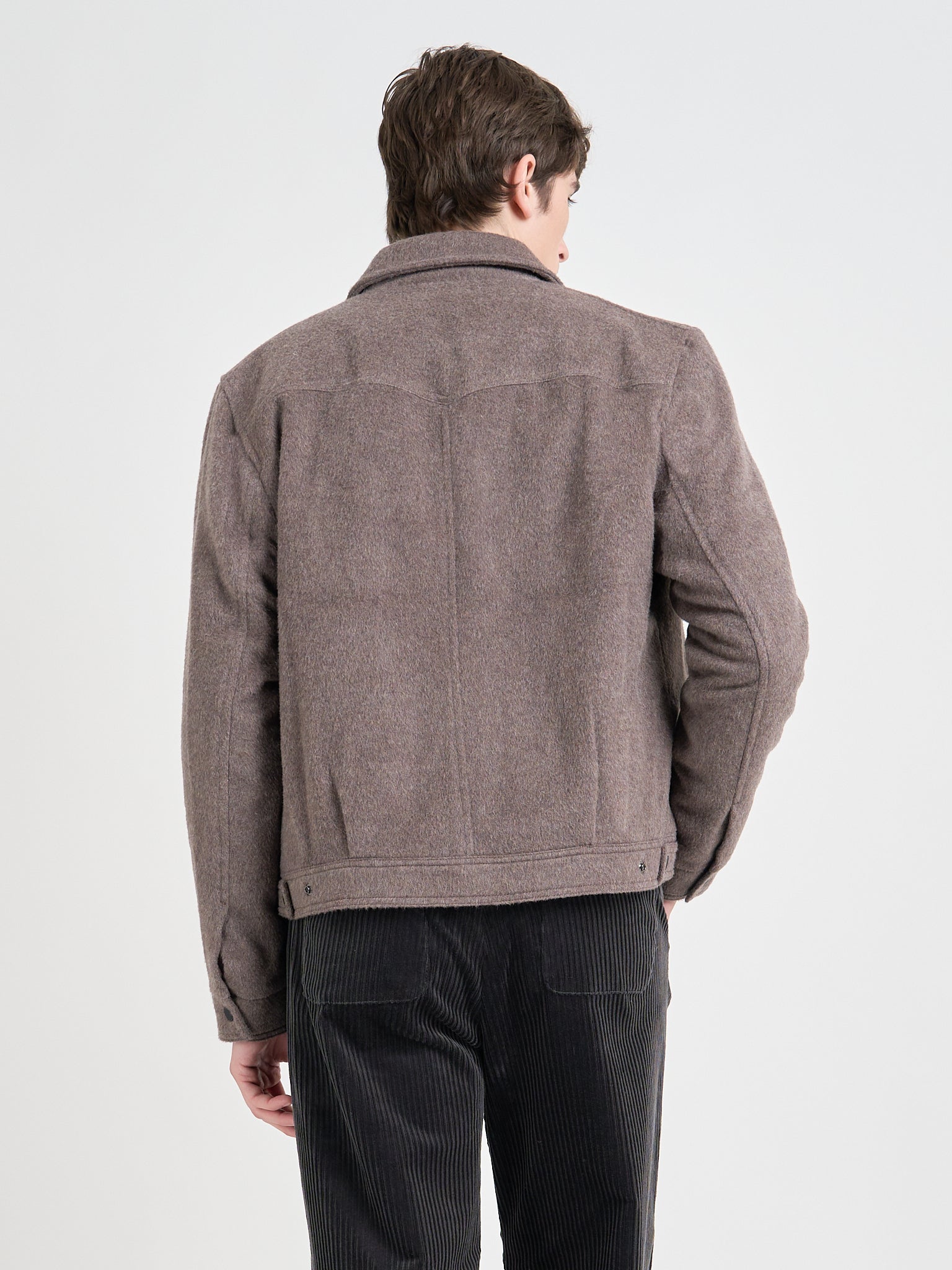 Norton Jacket Regent Taupe