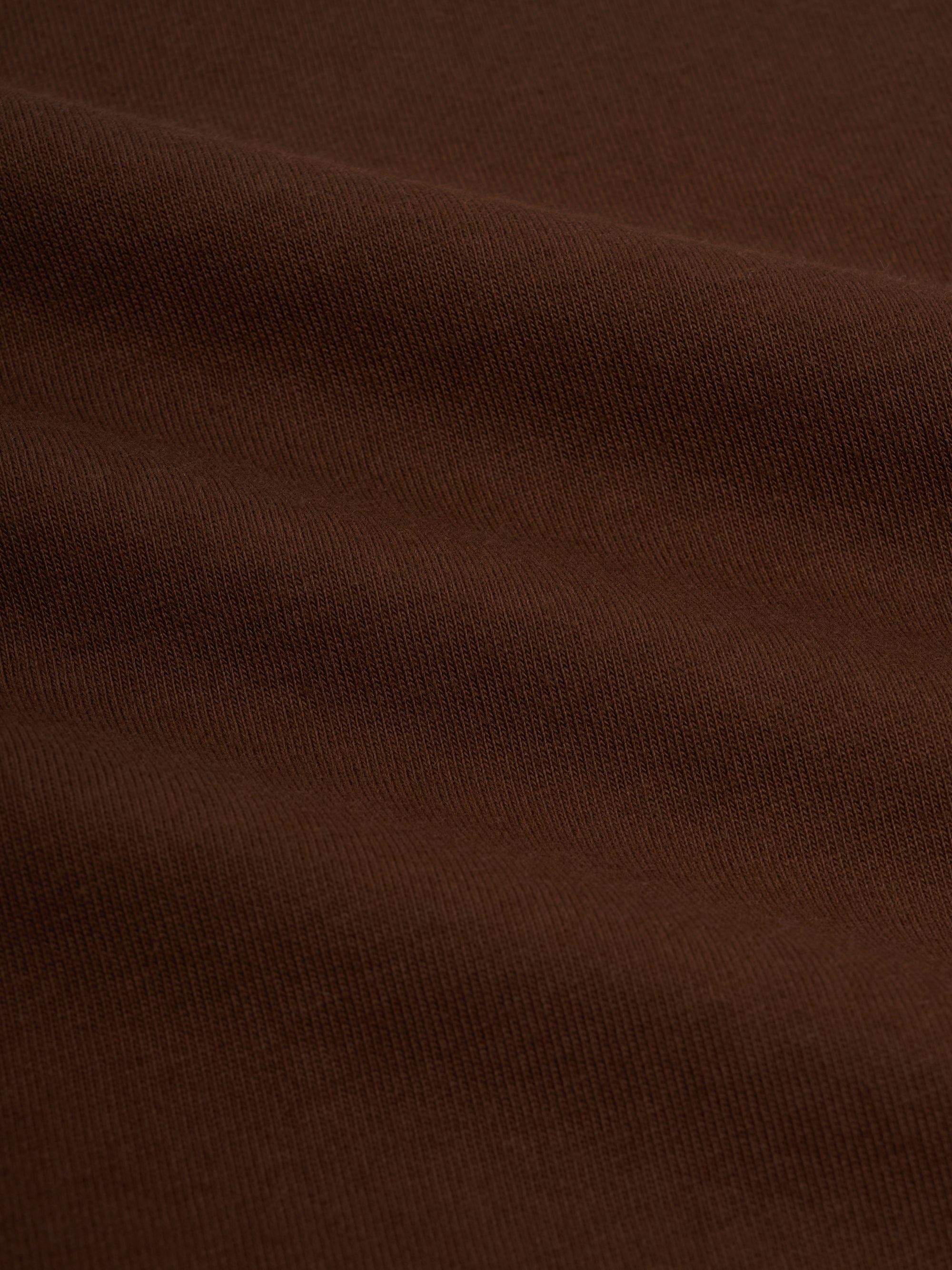 Heavy T-Shirt Parton Brown