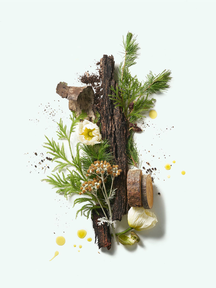 Corpus Natural Deodorant - Cedar Flora